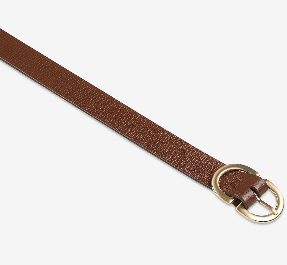 In Reverse Belt - Tan/Gold