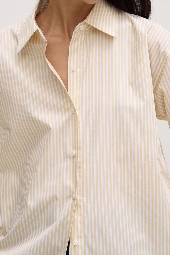 Signature Poplin Shirt Chamomile / White