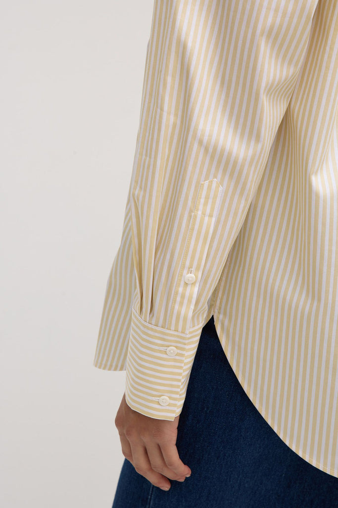 Signature Poplin Shirt Chamomile / White